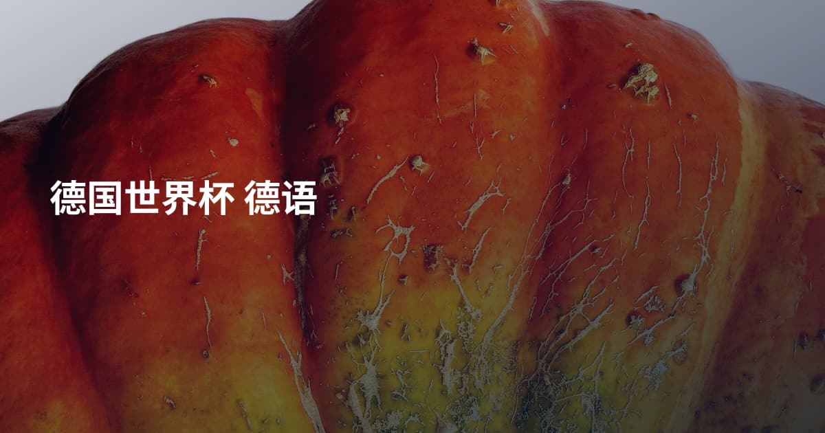 德国世界杯 德语