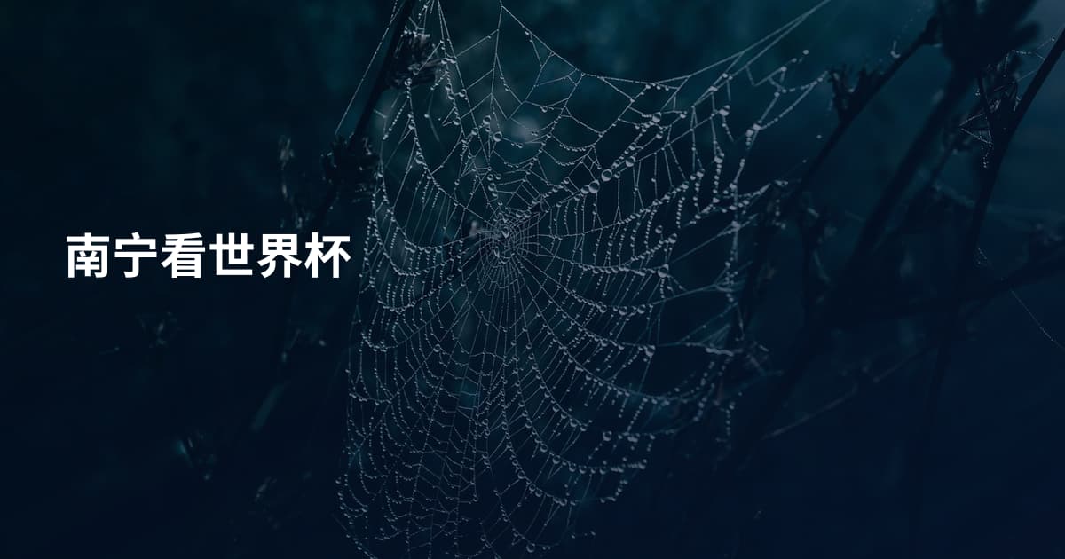 南宁看世界杯