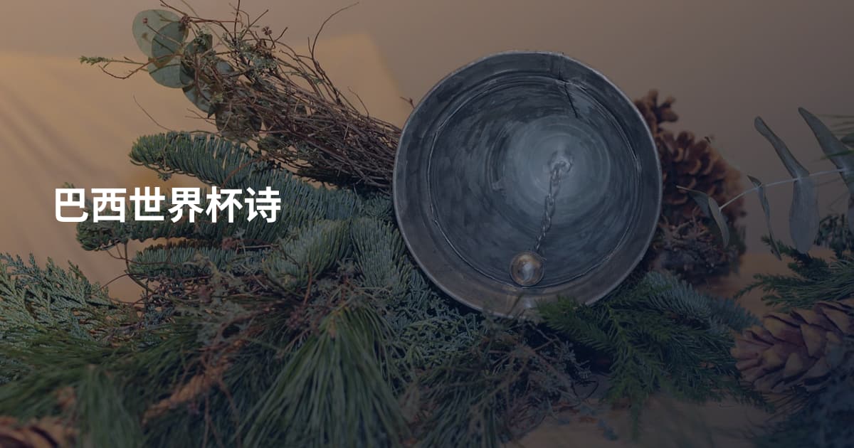 巴西世界杯诗