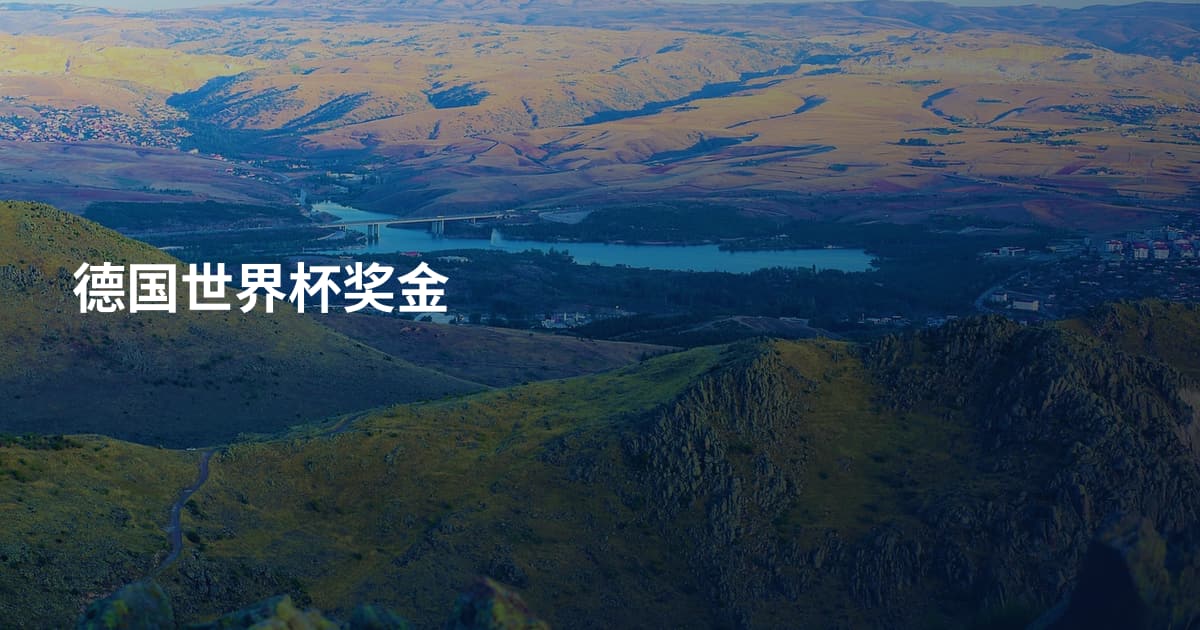 德国世界杯奖金