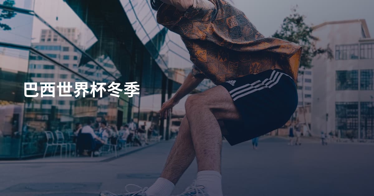 巴西世界杯冬季