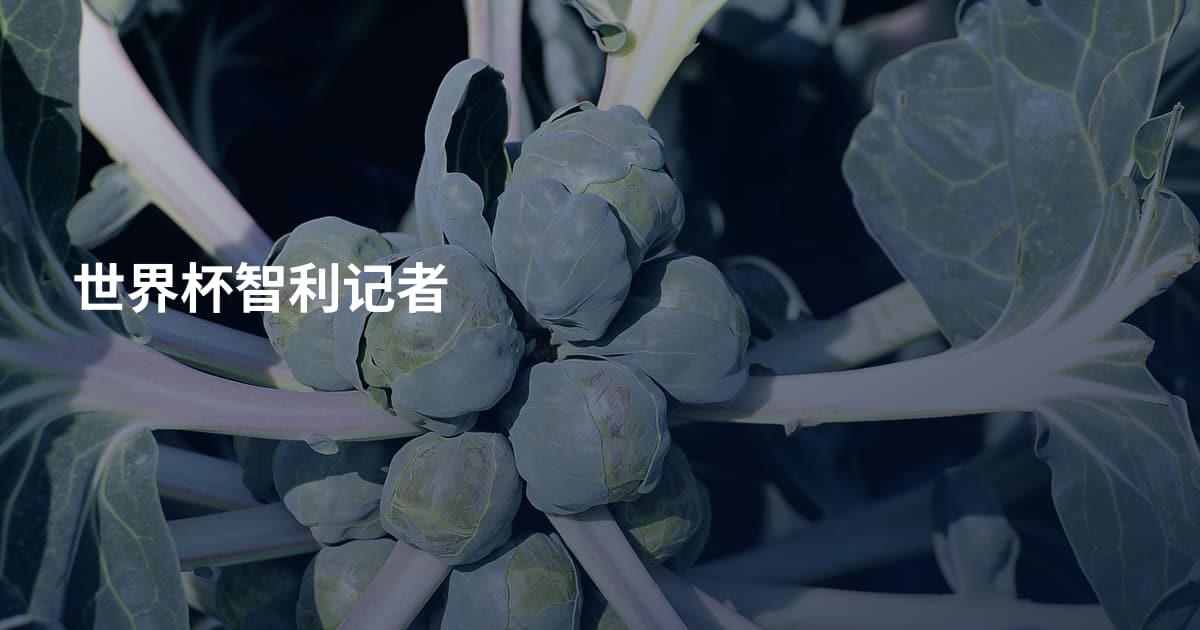 世界杯智利记者
