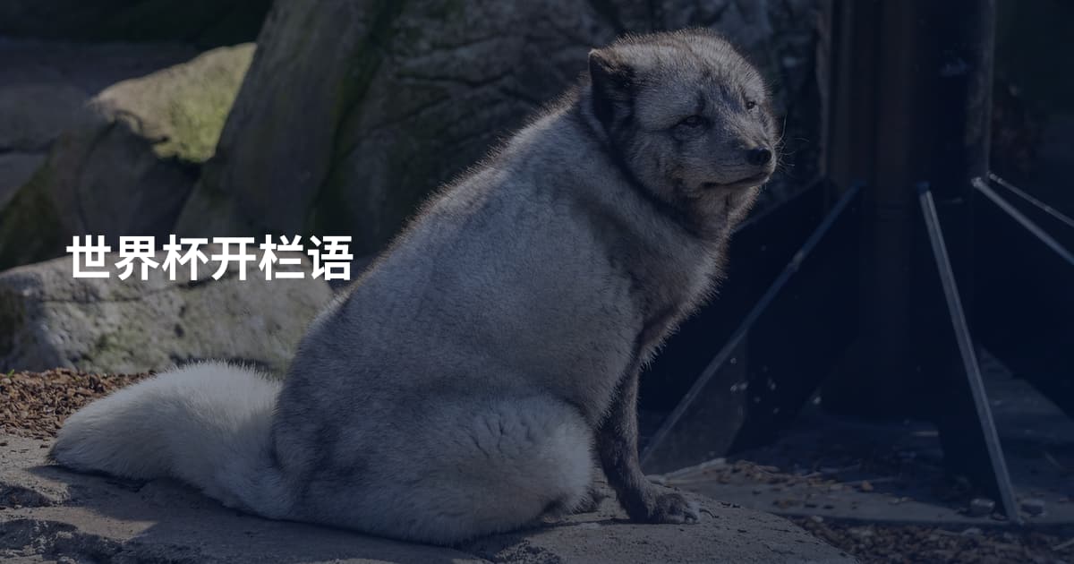 世界杯开栏语