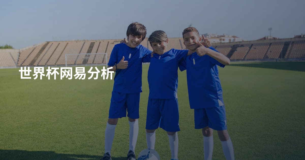 世界杯网易分析