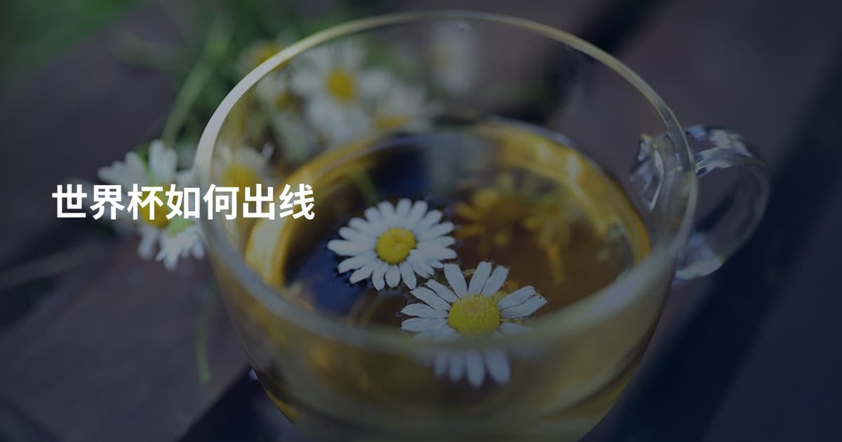 世界杯如何出线