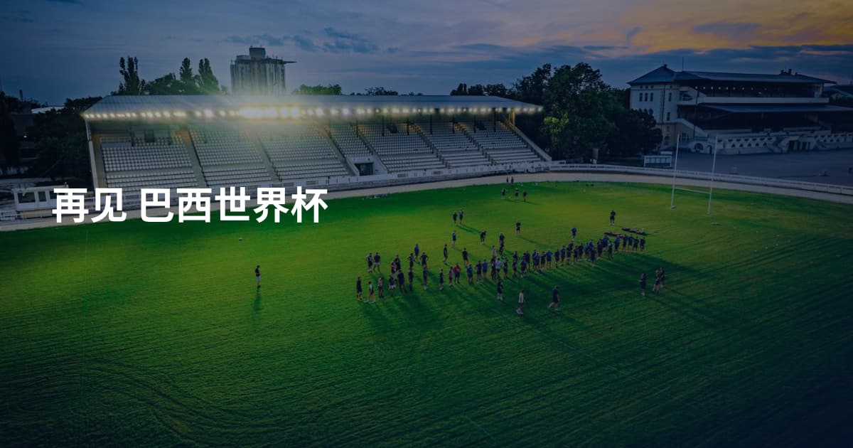 再见 巴西世界杯