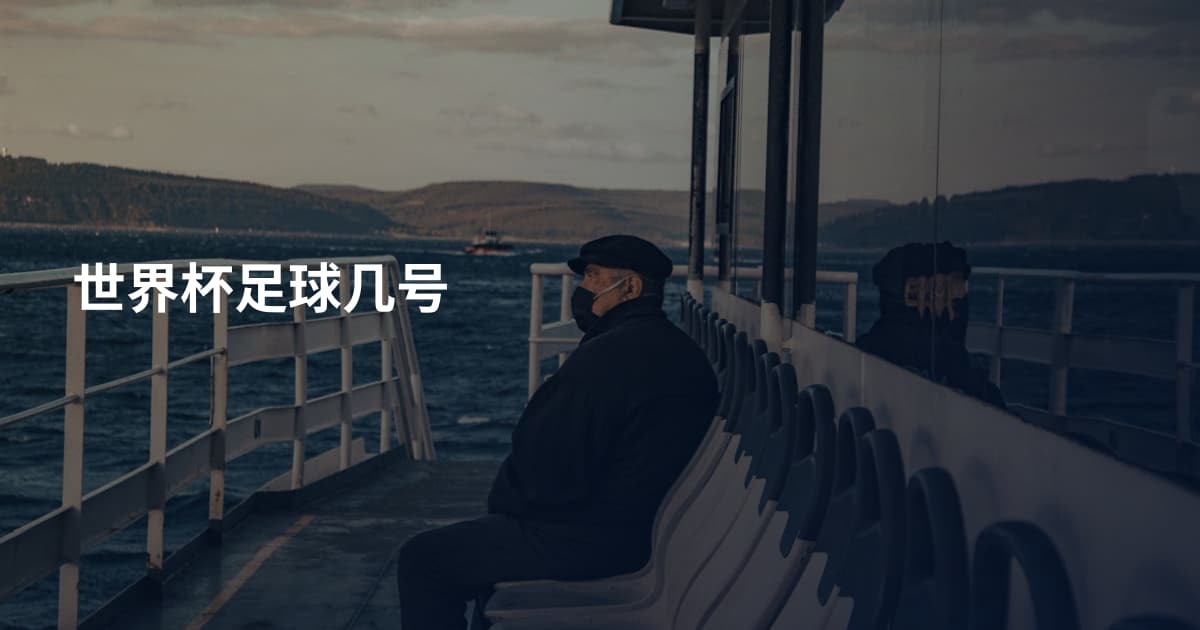 世界杯足球几号