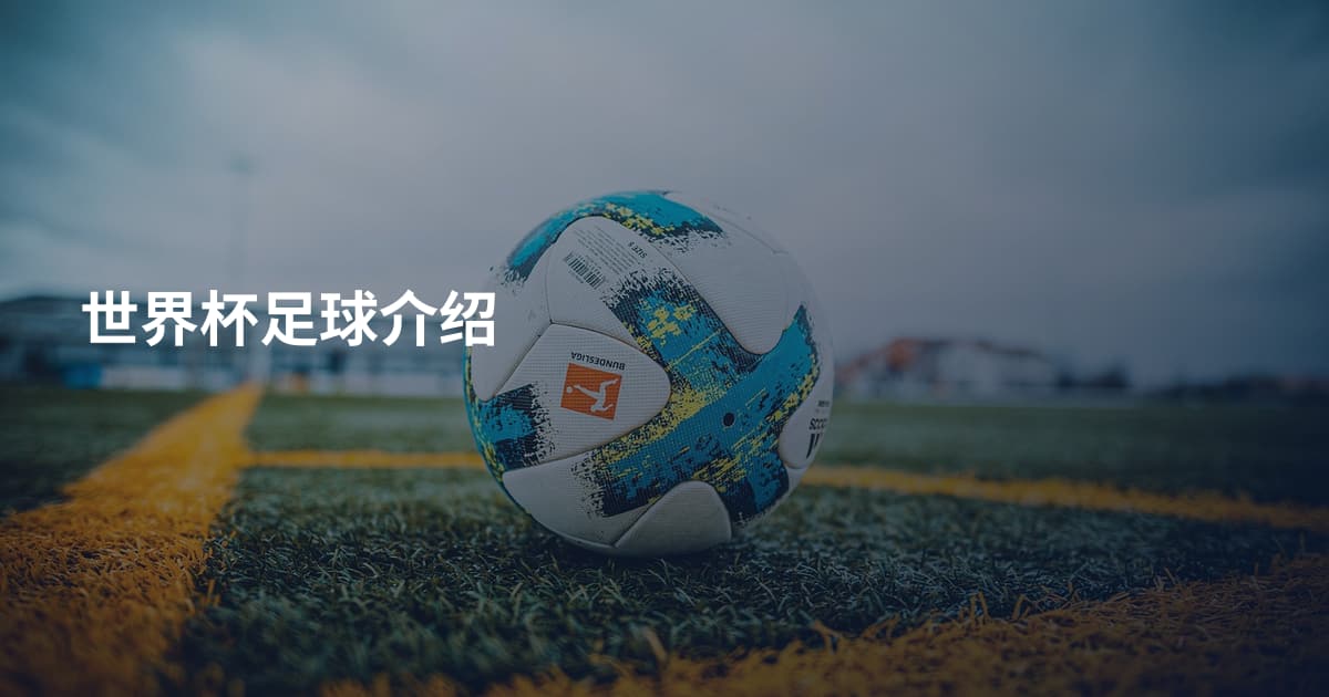 世界杯足球介绍