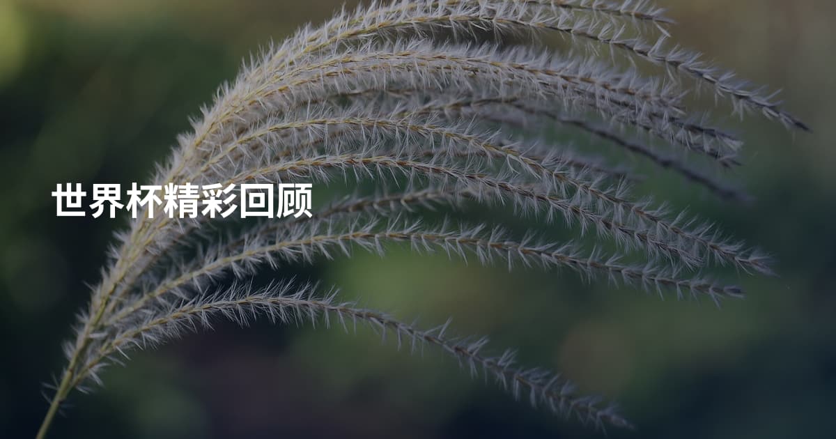 世界杯精彩回顾