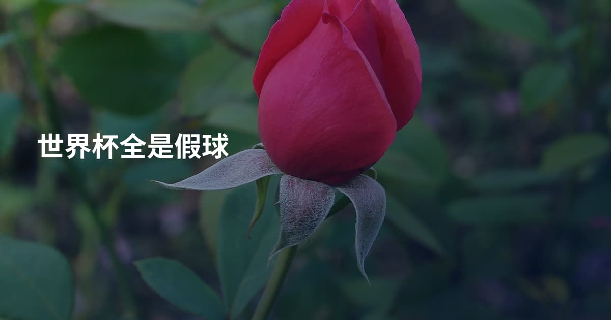 世界杯全是假球