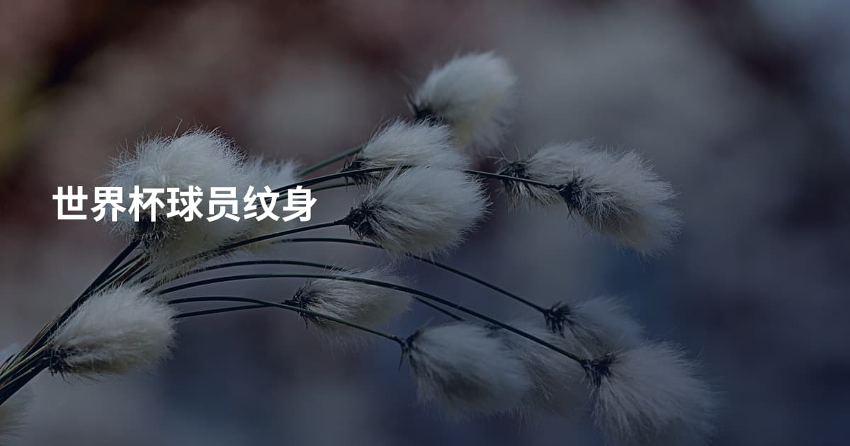 世界杯球员纹身