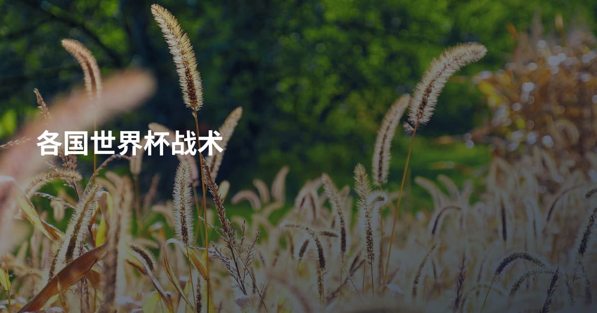 各国世界杯战术