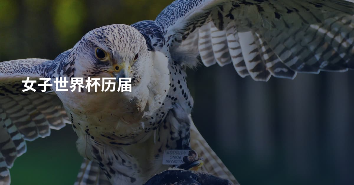 女子世界杯历届