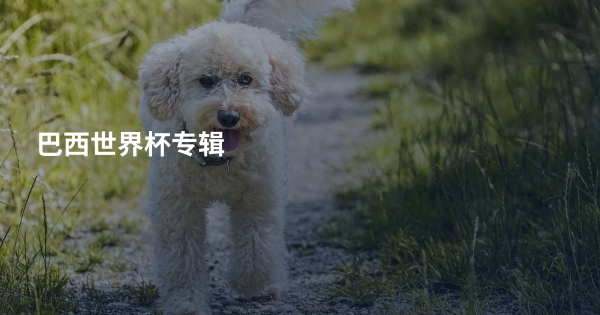 巴西世界杯专辑