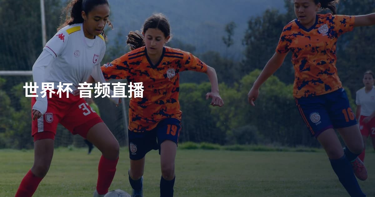 世界杯 音频直播