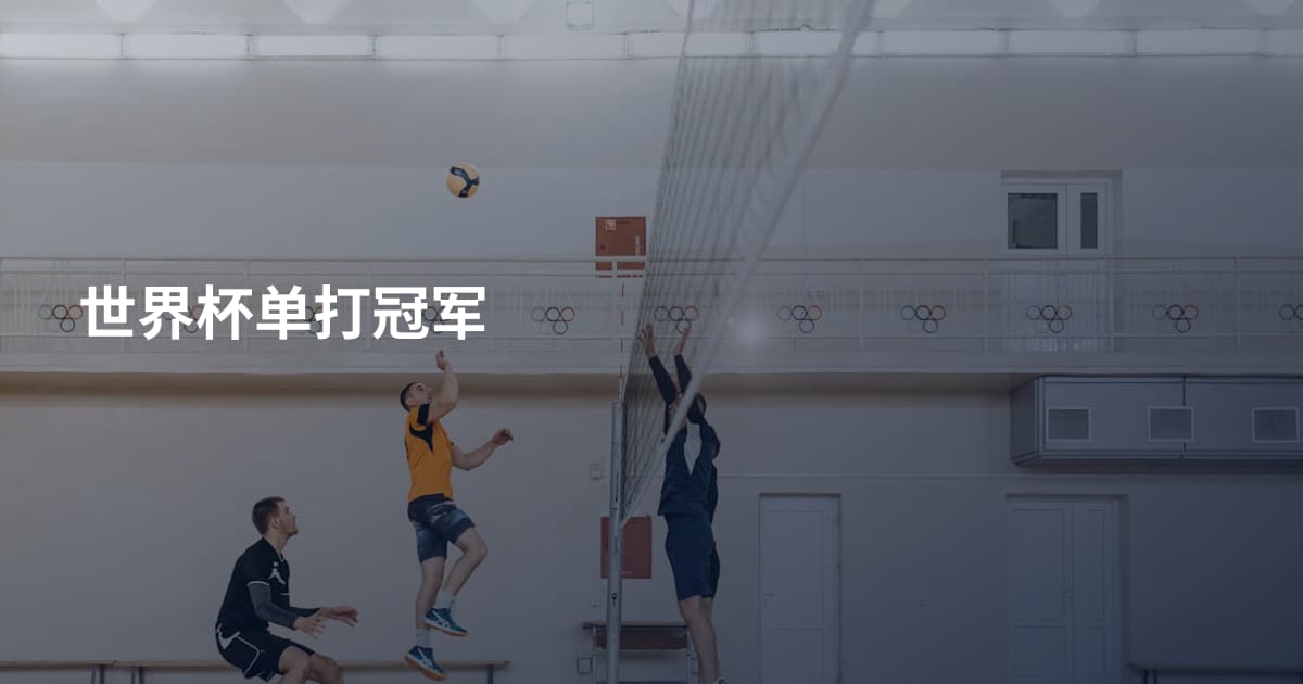 世界杯单打冠军