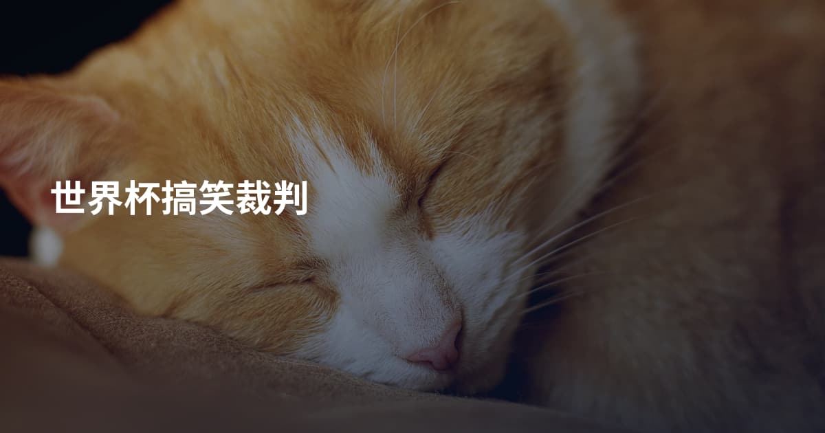 世界杯搞笑裁判