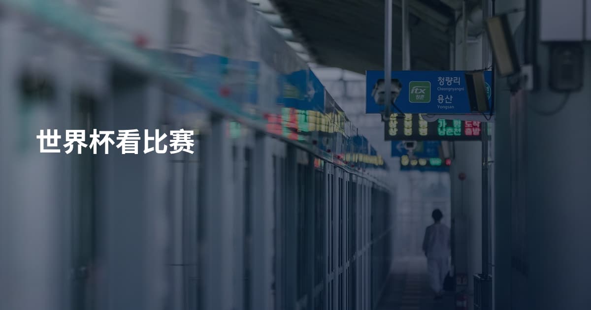 世界杯看比赛