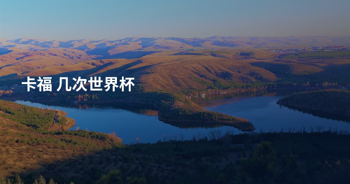 卡福 几次世界杯