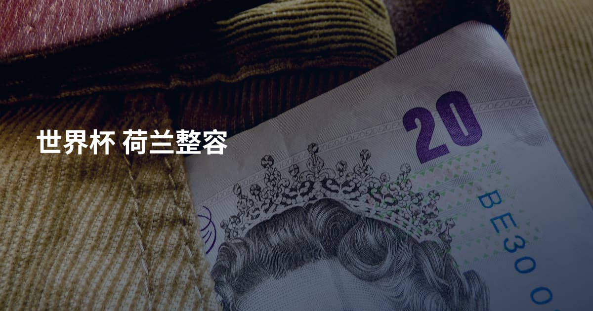 世界杯 荷兰整容