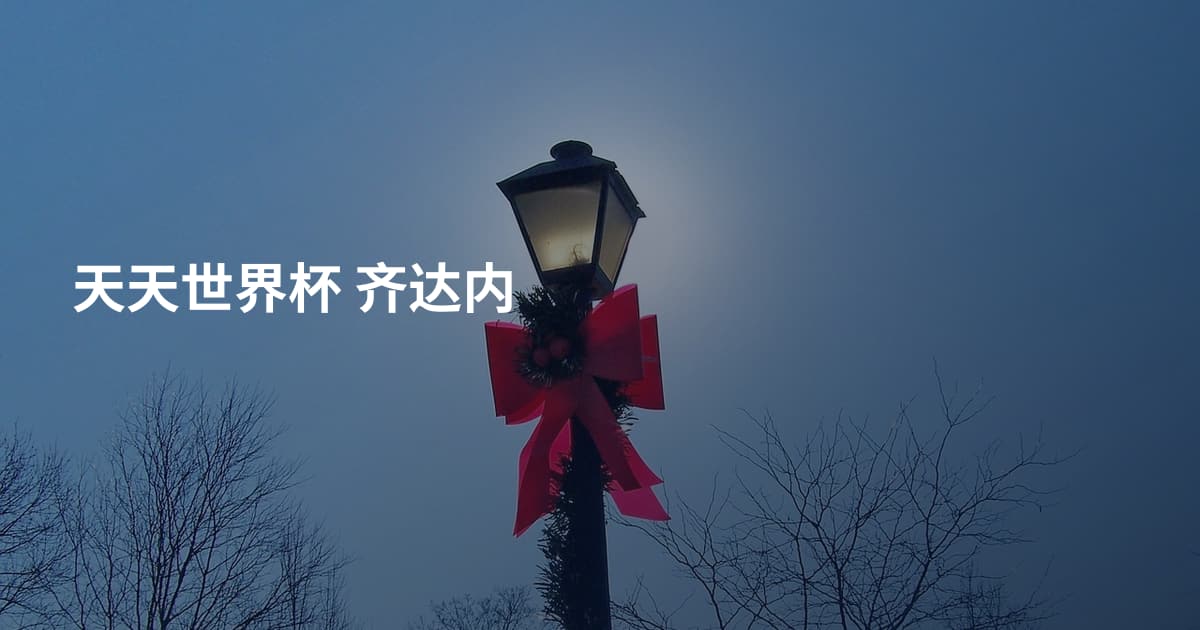 天天世界杯 齐达内