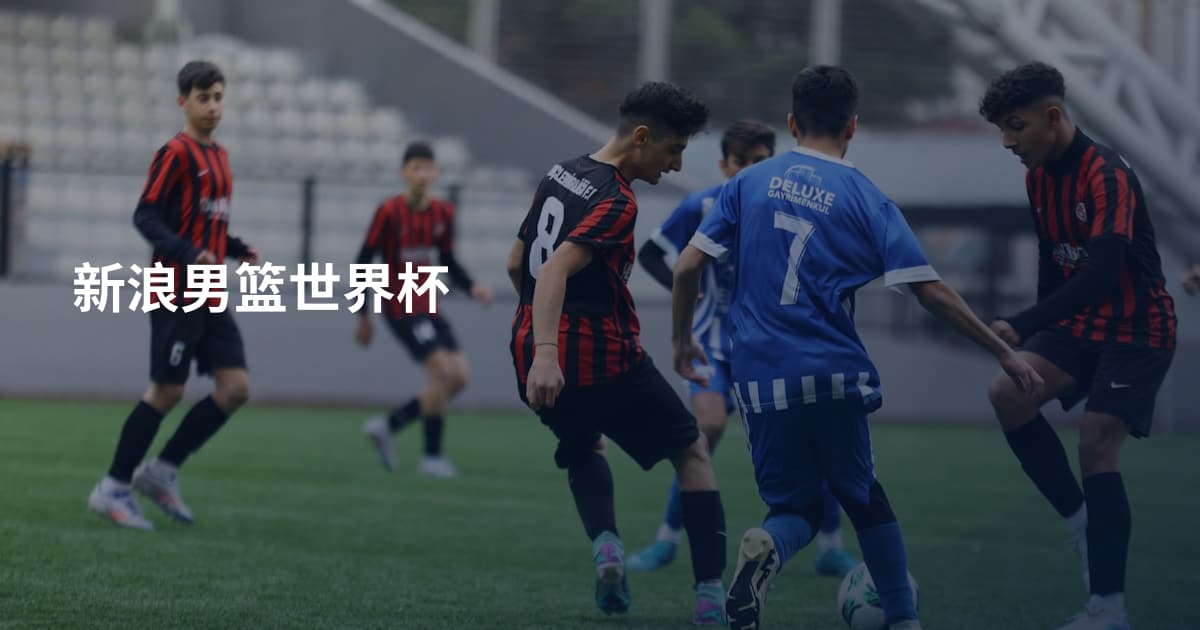 新浪男篮世界杯