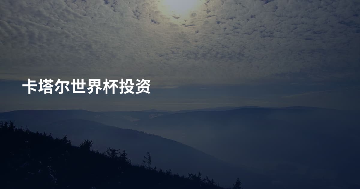 卡塔尔世界杯投资