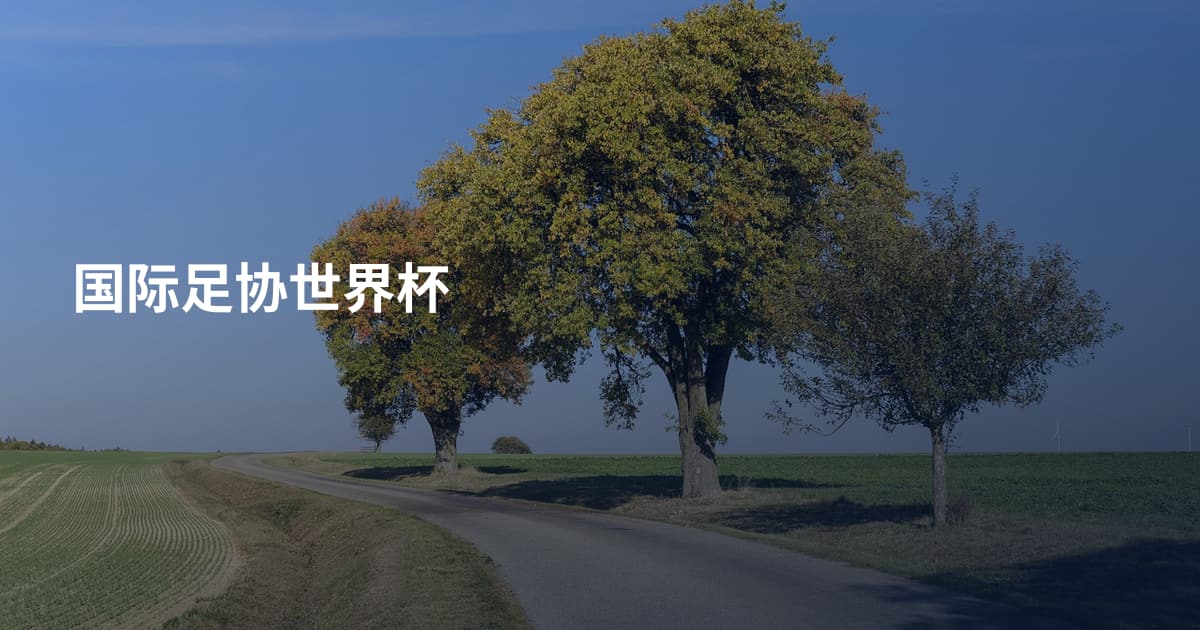 国际足协世界杯