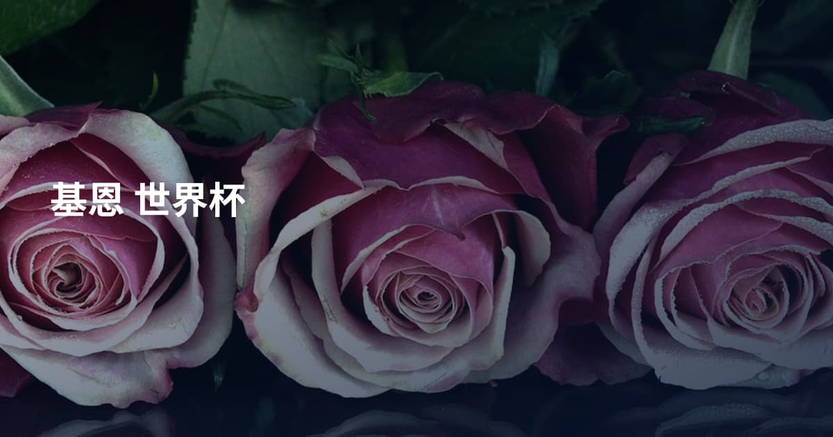 基恩 世界杯