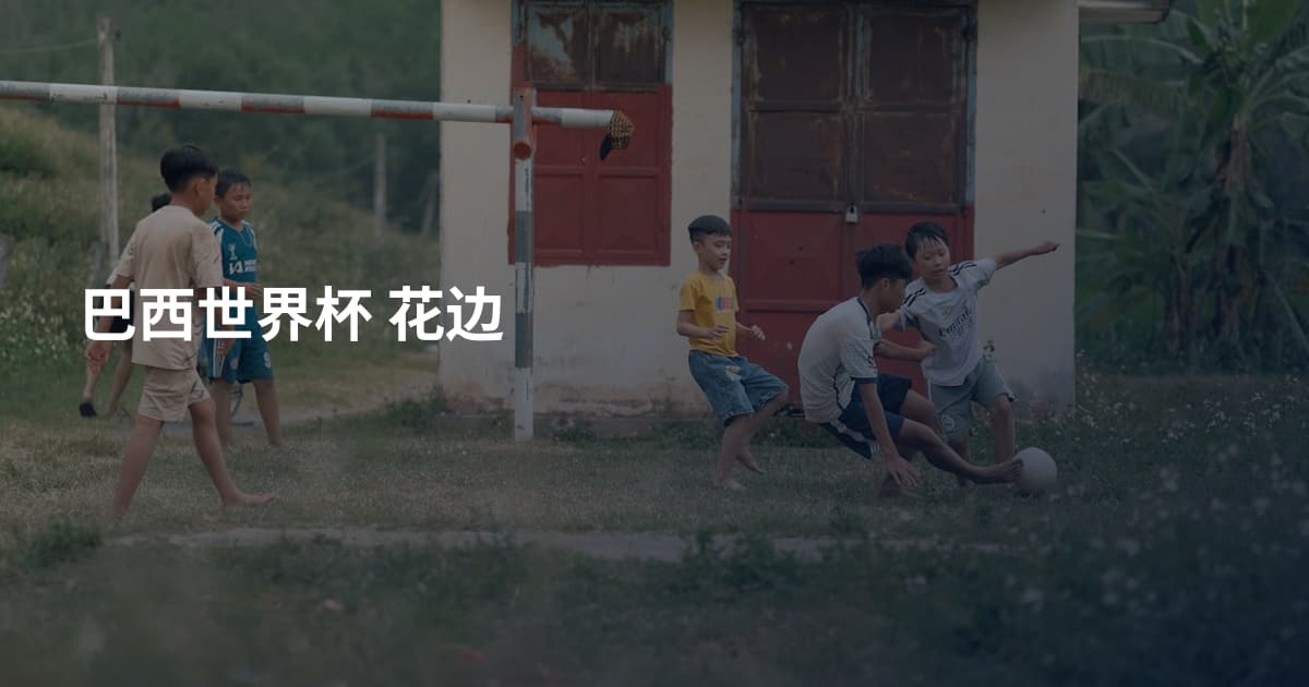 巴西世界杯 花边