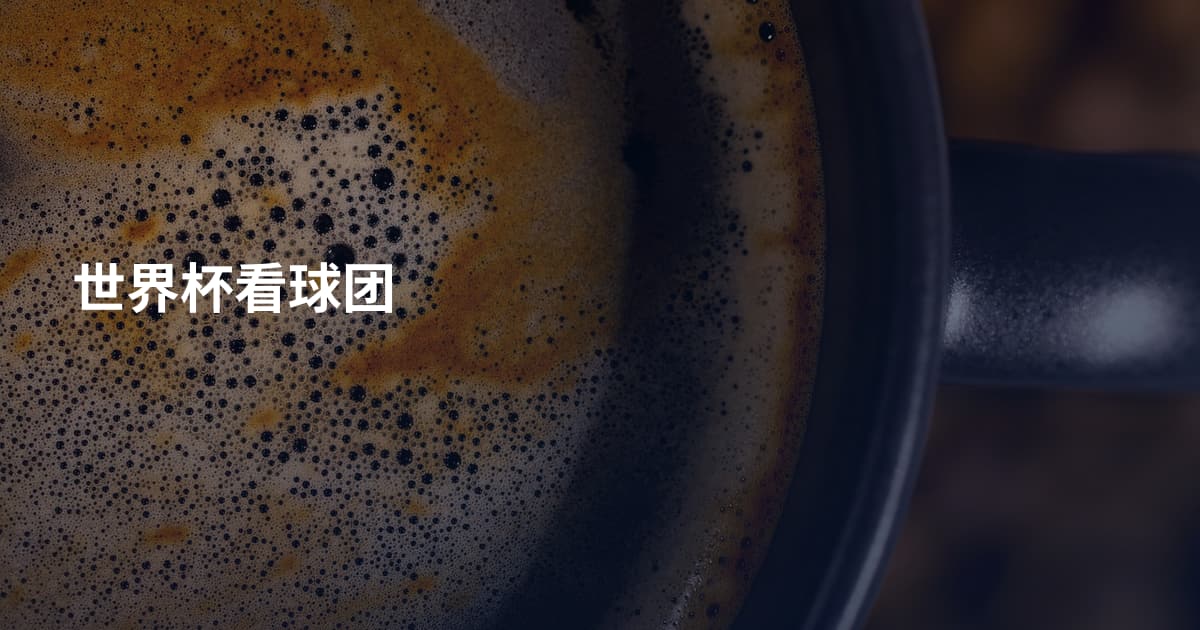 世界杯看球团