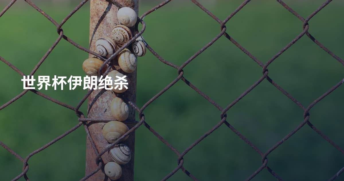 世界杯伊朗绝杀