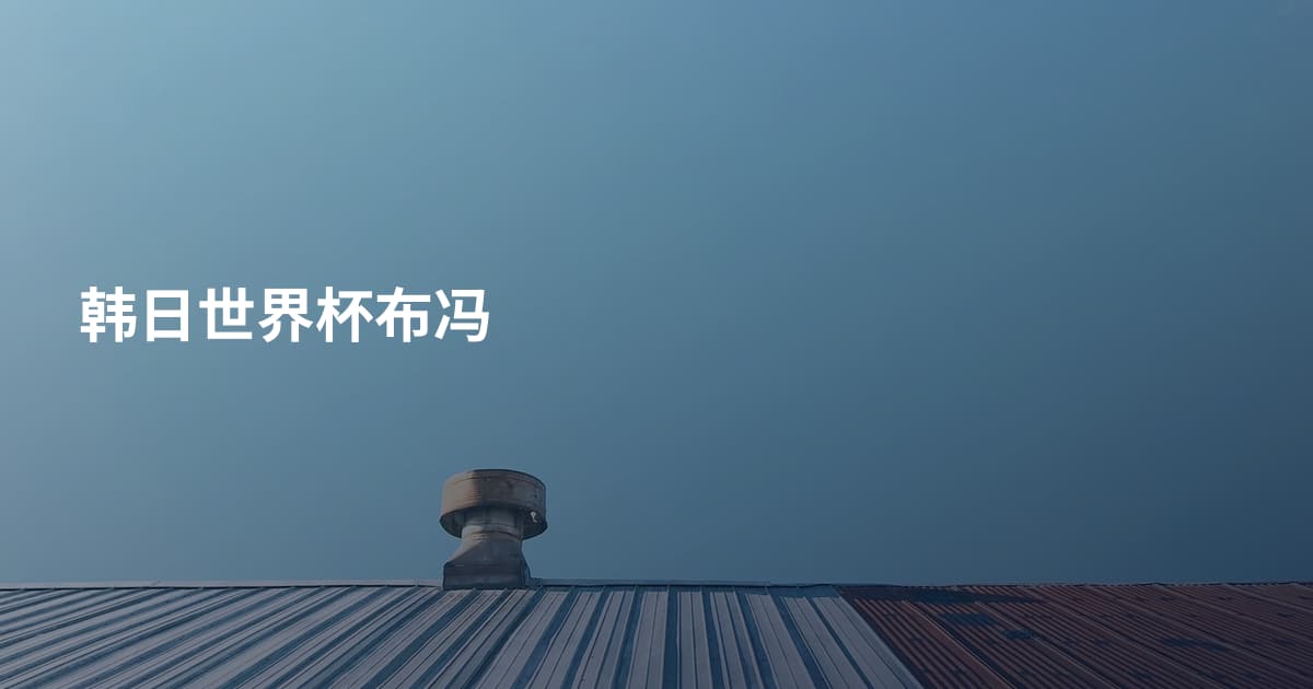 韩日世界杯布冯