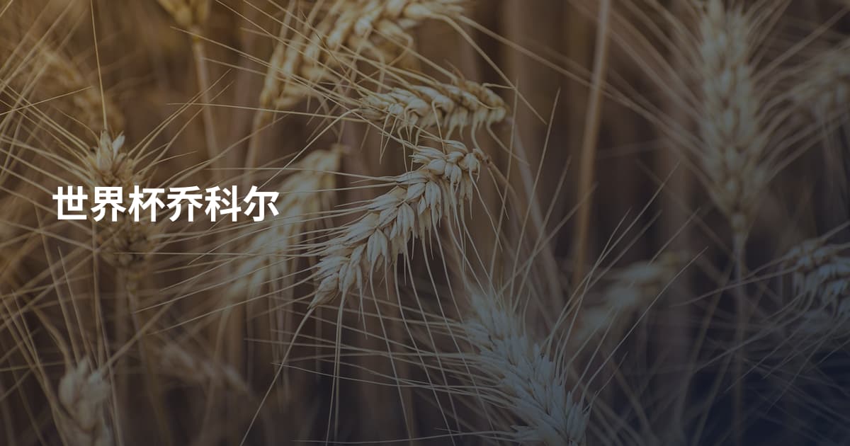 世界杯乔科尔