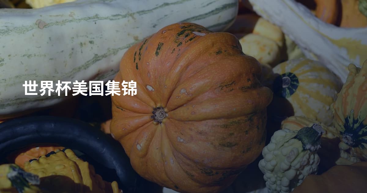 世界杯美国集锦