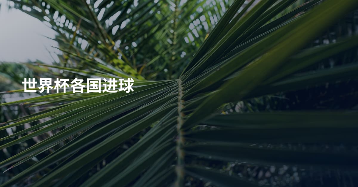 世界杯各国进球