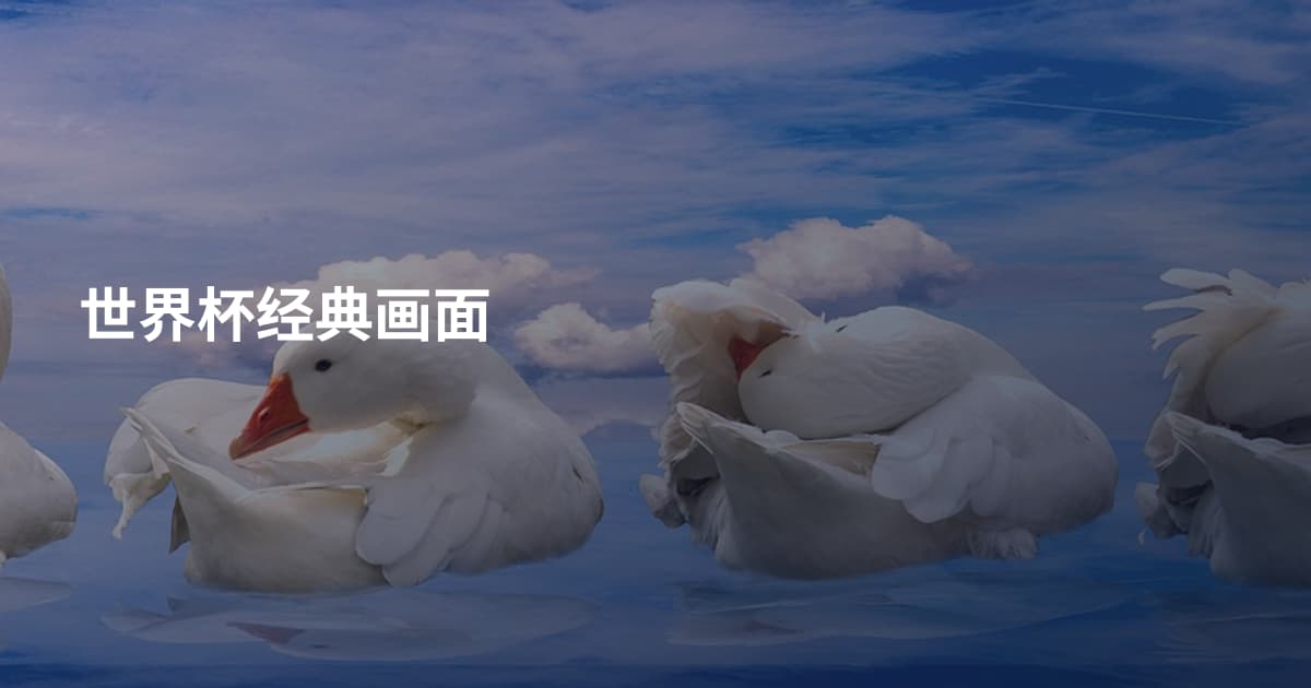 世界杯经典画面