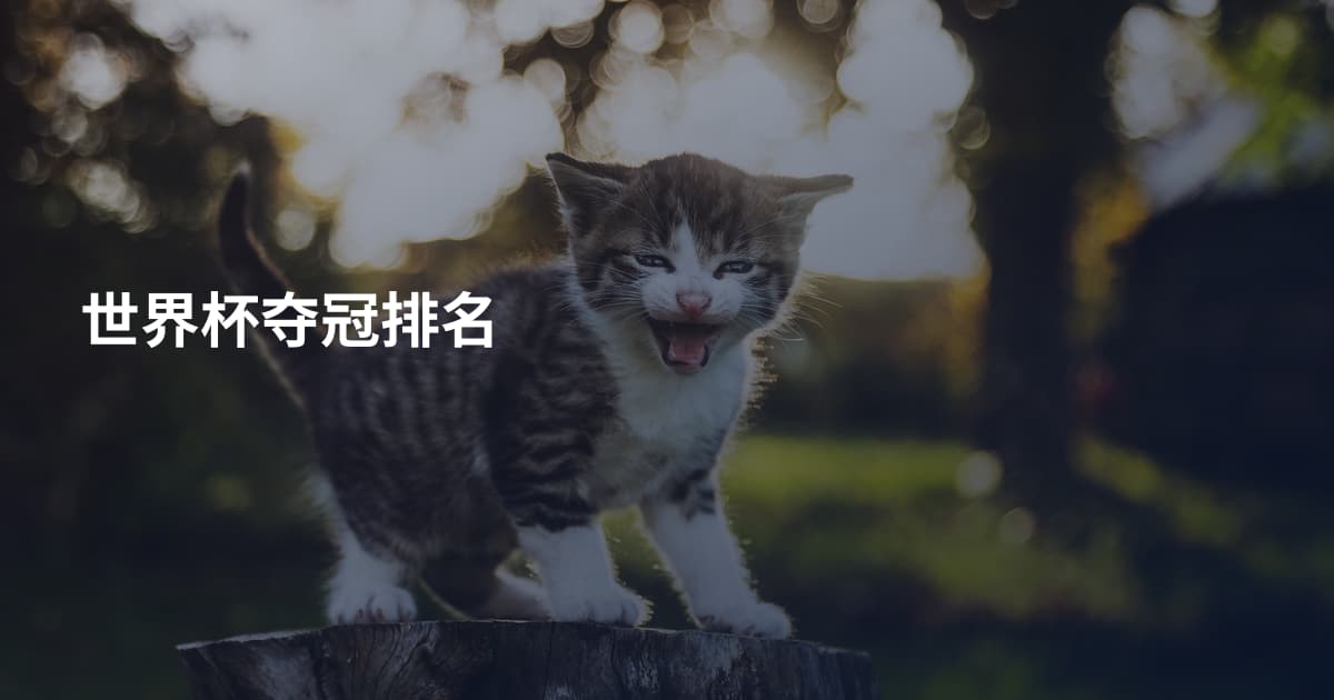 世界杯夺冠排名