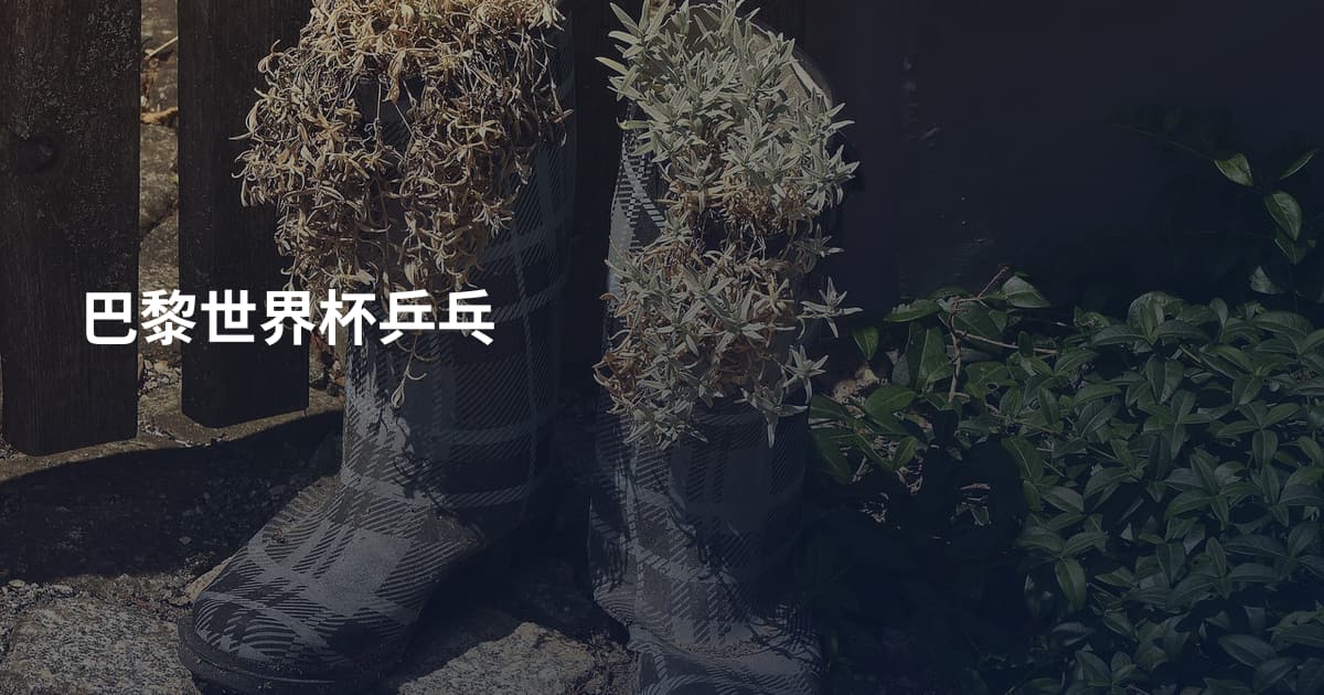 巴黎世界杯乒乓