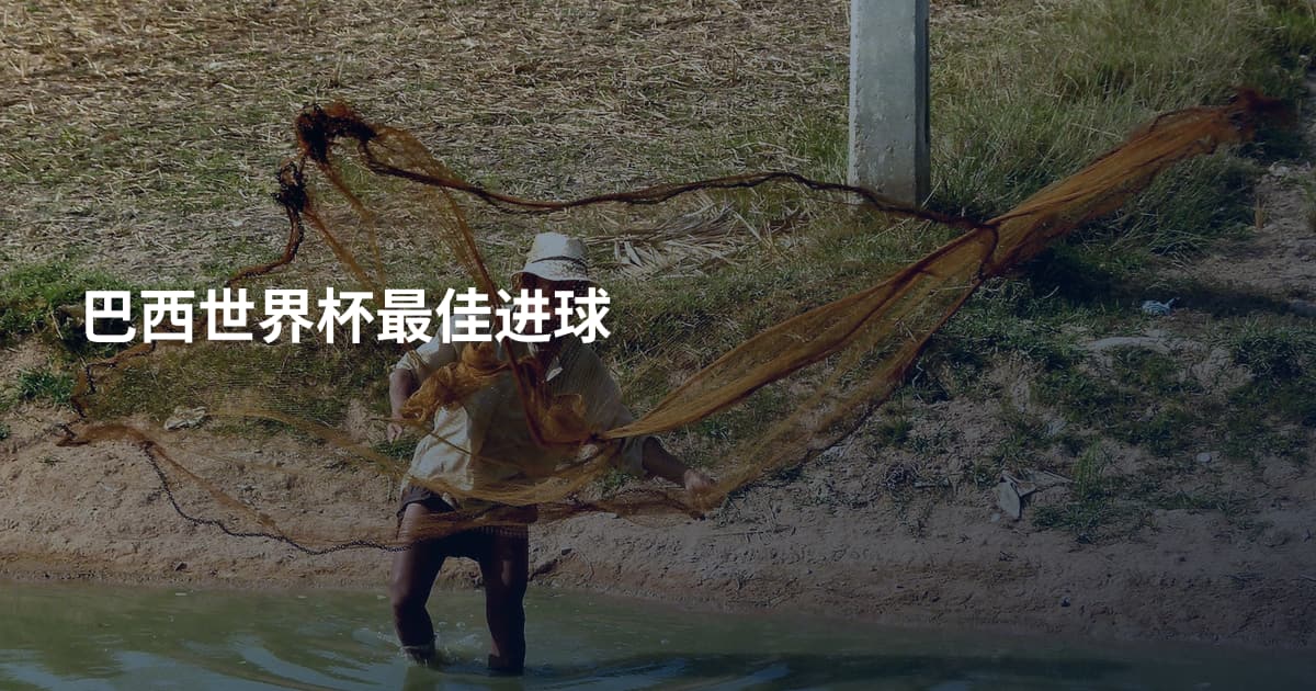 巴西世界杯最佳进球