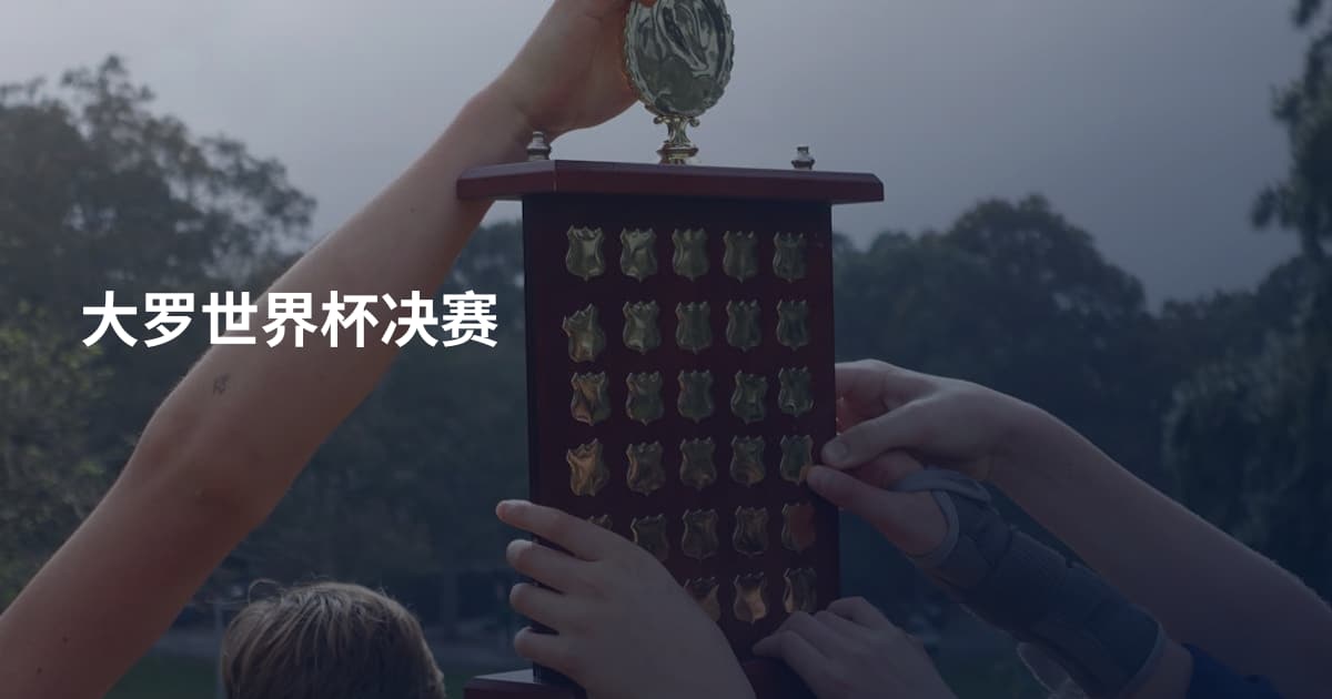 大罗世界杯决赛