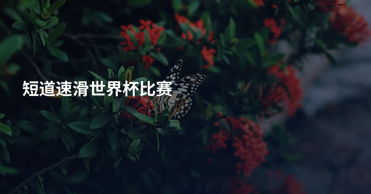 短道速滑世界杯比赛