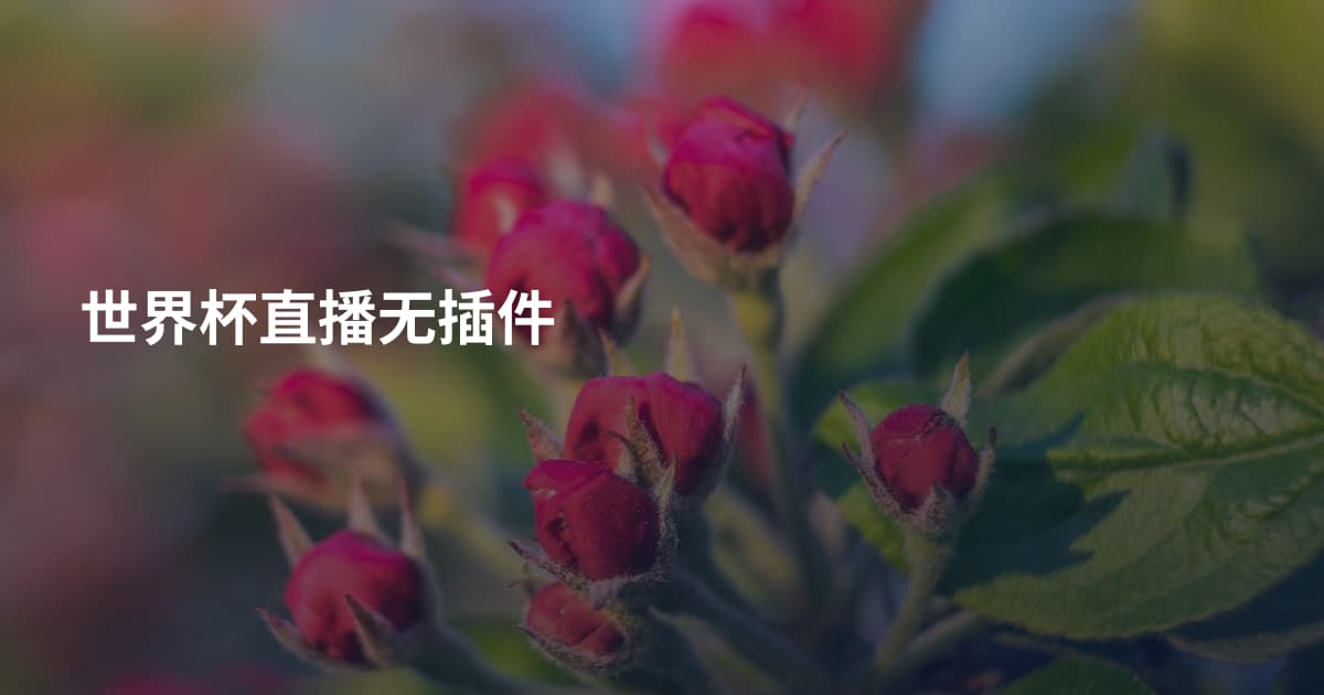 世界杯直播无插件