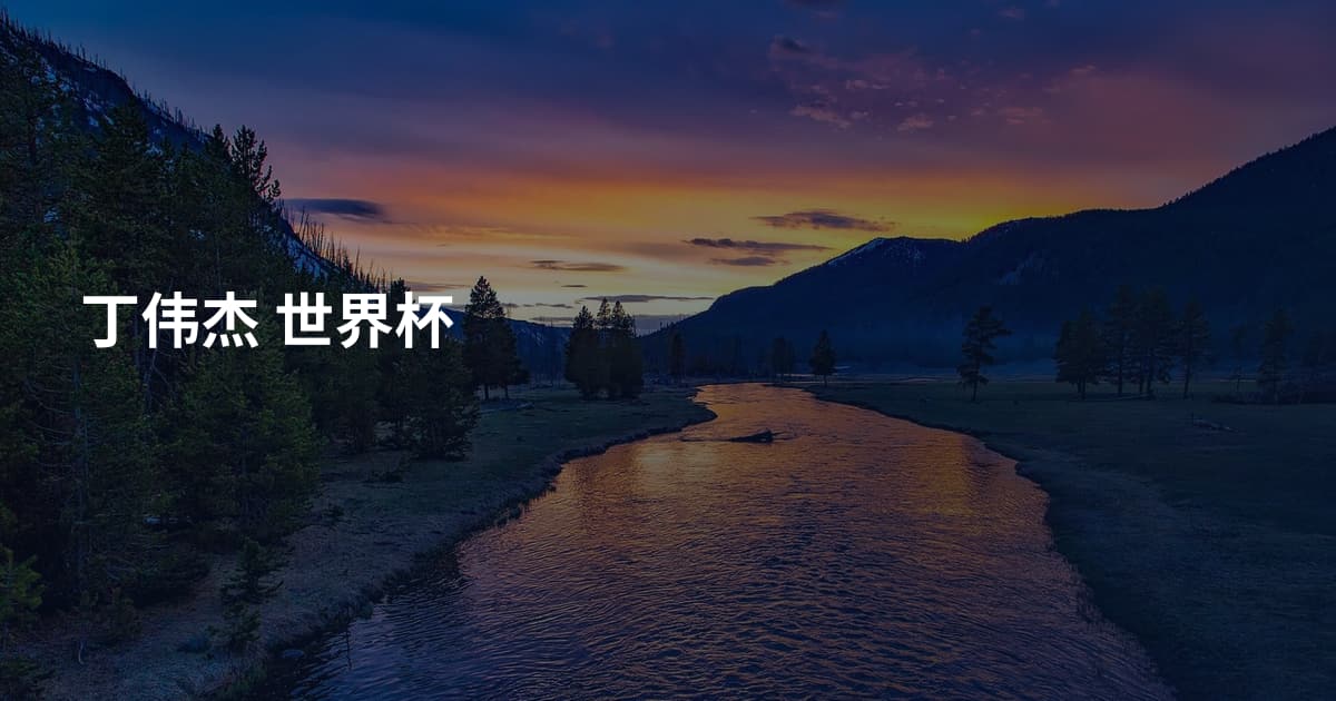 丁伟杰 世界杯