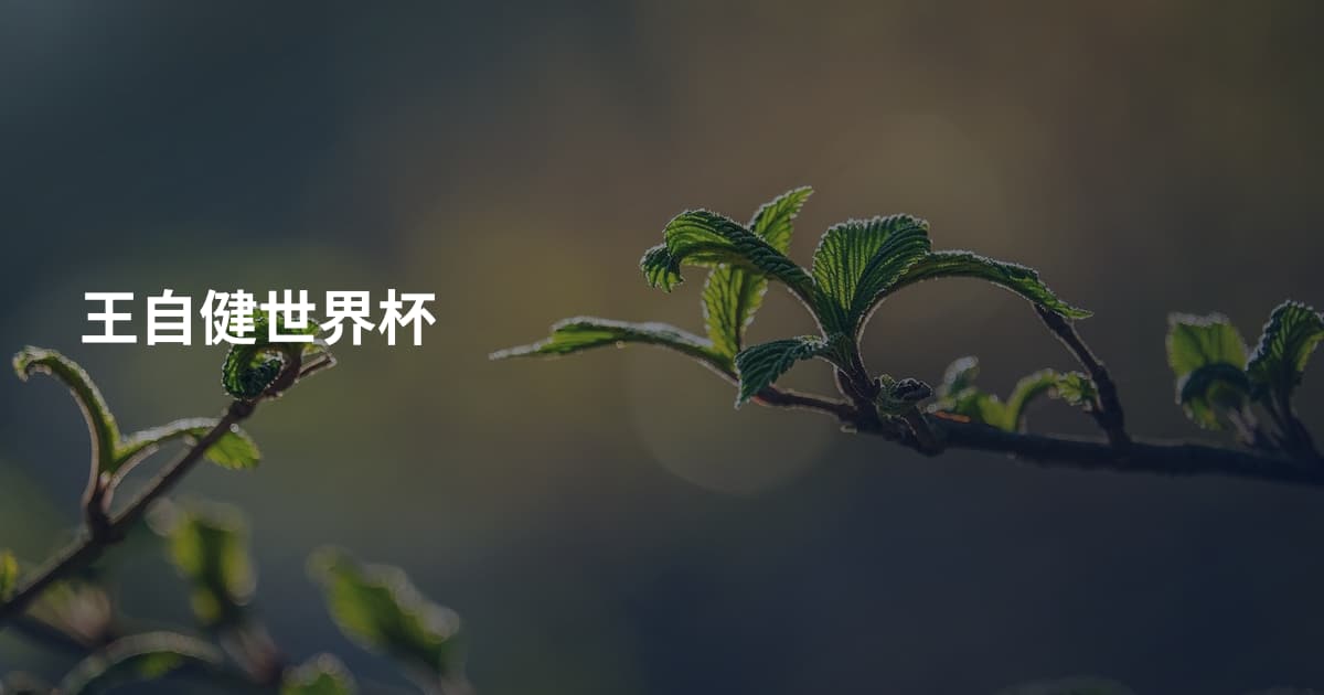 王自健世界杯