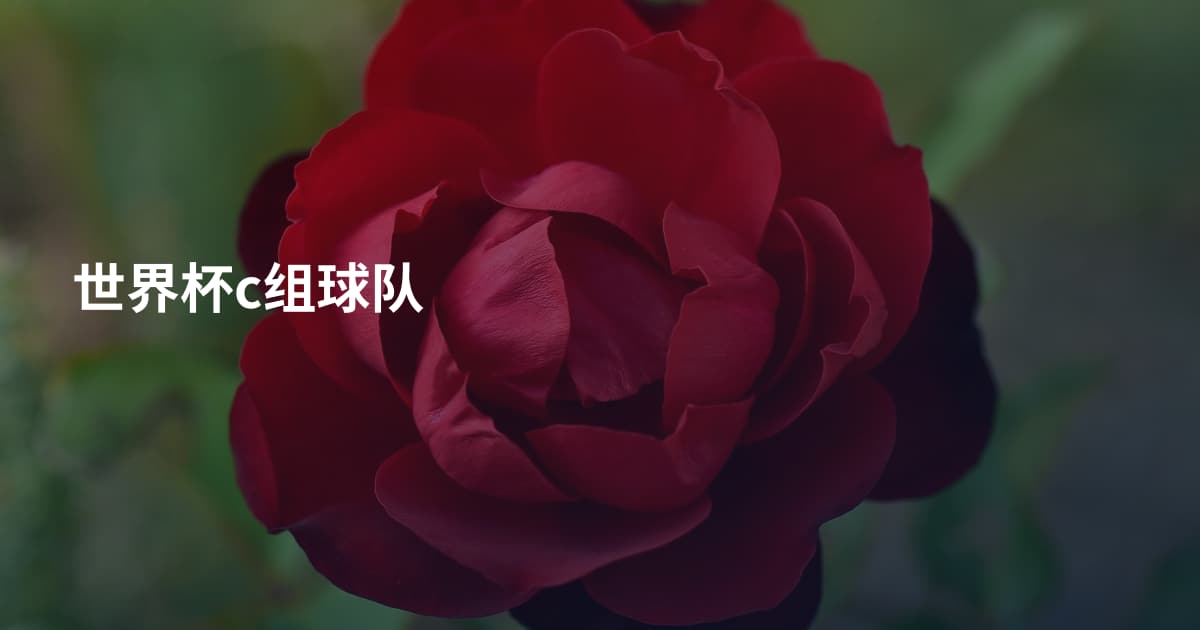 世界杯c组球队