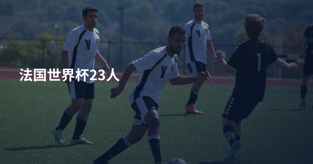 法国世界杯23人