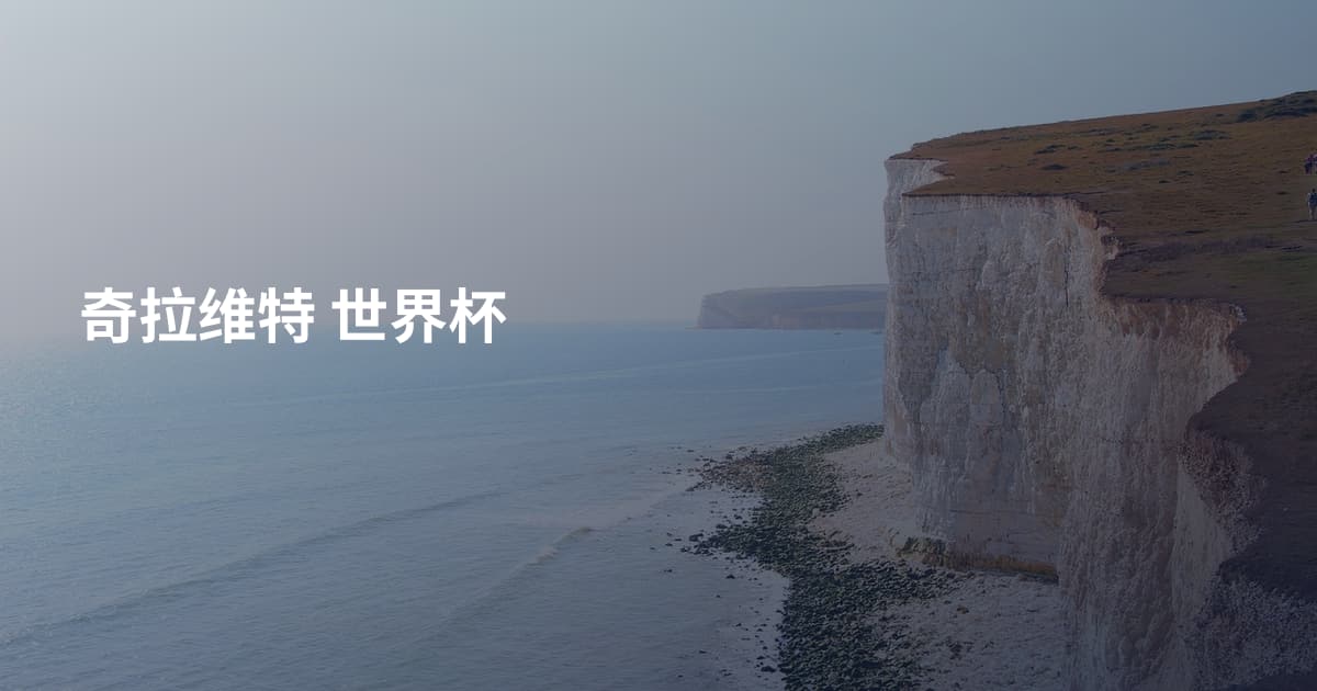 奇拉维特 世界杯