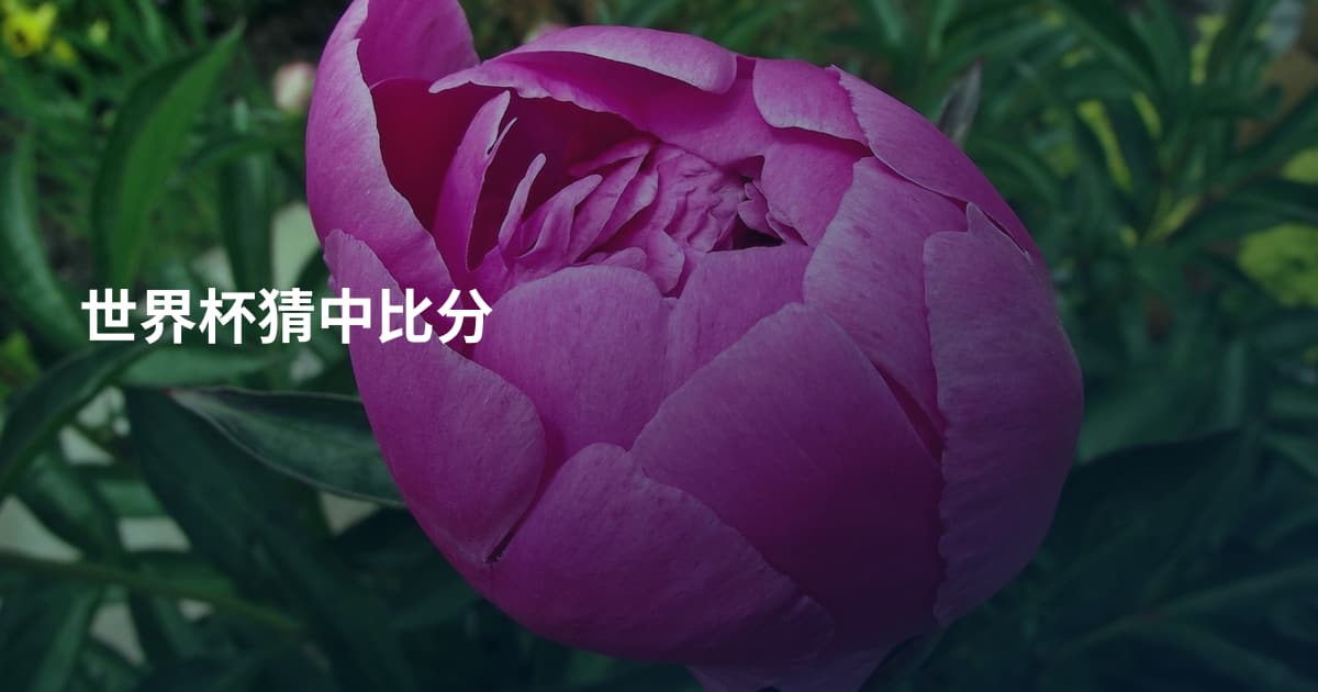 世界杯猜中比分