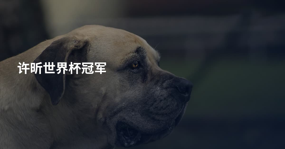 许昕世界杯冠军